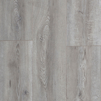 2119 Embess Laminate Flooring