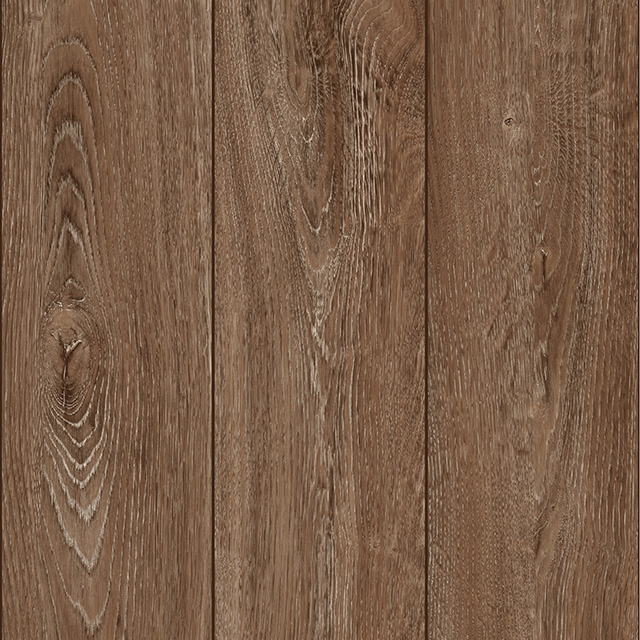 2539 SPC Playly Pline